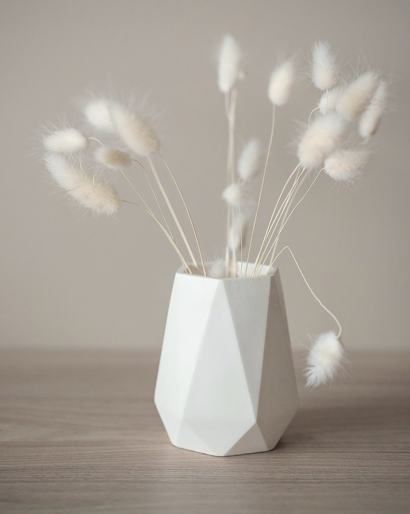 Diamantförmige Vase für Trockenblumen - Blumentopf Wohnkultur, Einweihungsgeschenk